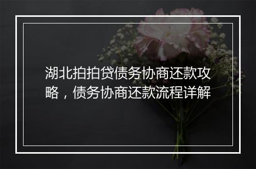 湖北拍拍贷债务协商还款攻略，债务协商还款流程详解