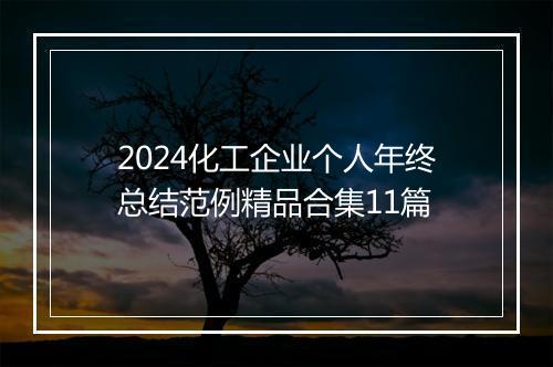 2024化工企业个人年终总结范例精品合集11篇
