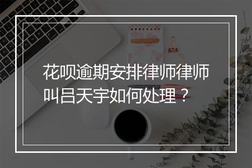花呗逾期安排律师律师叫吕天宇如何处理？