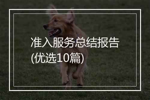 准入服务总结报告(优选10篇)