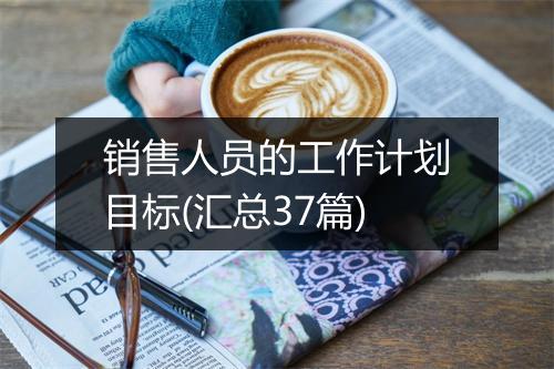 销售人员的工作计划目标(汇总37篇)