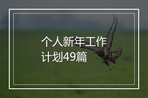 个人新年工作计划49篇