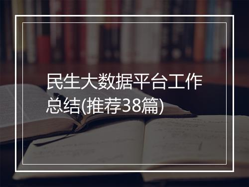 民生大数据平台工作总结(推荐38篇)