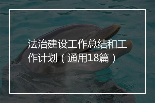 法治建设工作总结和工作计划（通用18篇）