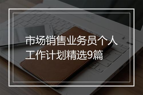市场销售业务员个人工作计划精选9篇