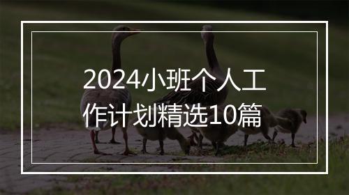 2024小班个人工作计划精选10篇