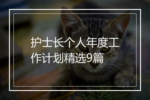 护士长个人年度工作计划精选9篇