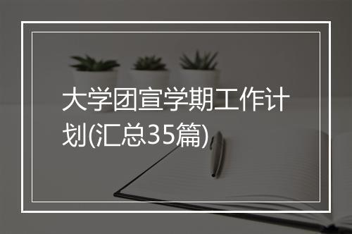 大学团宣学期工作计划(汇总35篇)