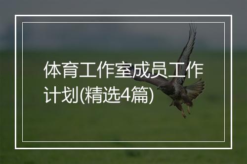 体育工作室成员工作计划(精选4篇)