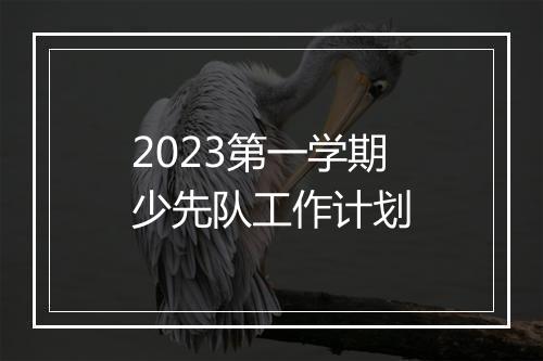 2023第一学期少先队工作计划
