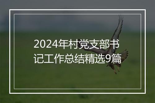 2024年村党支部书记工作总结精选9篇