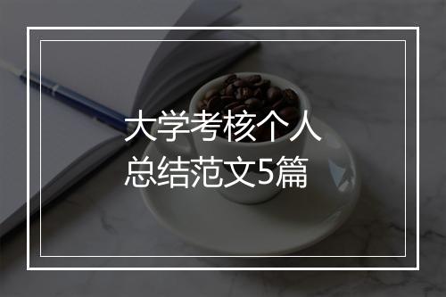 大学考核个人总结范文5篇