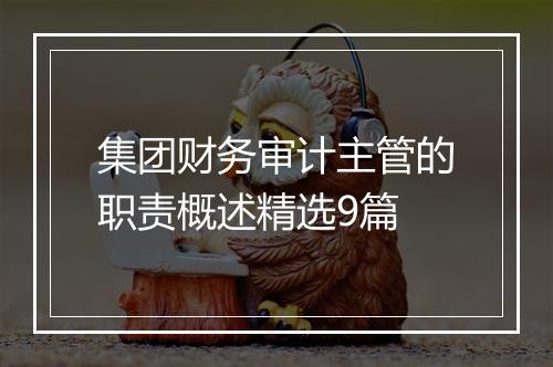 集团财务审计主管的职责概述精选9篇