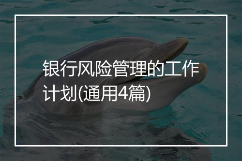 银行风险管理的工作计划(通用4篇)