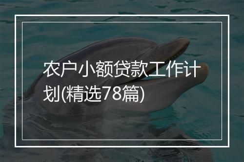 农户小额贷款工作计划(精选78篇)