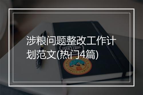 涉粮问题整改工作计划范文(热门4篇)
