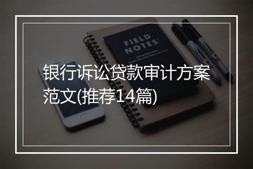 银行诉讼贷款审计方案范文(推荐14篇)