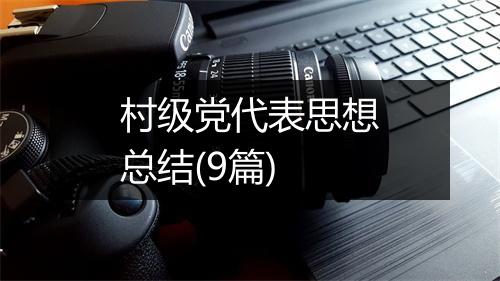 村级党代表思想总结(9篇)