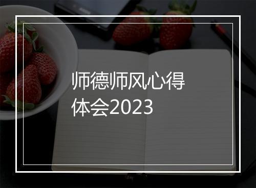 师德师风心得体会2023