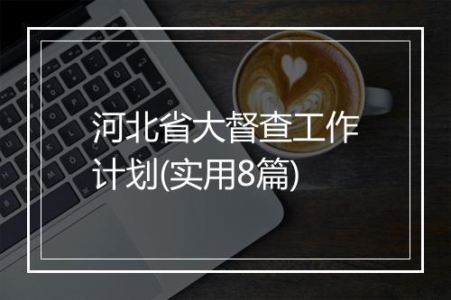 河北省大督查工作计划(实用8篇)