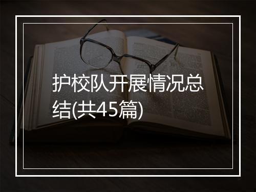 护校队开展情况总结(共45篇)