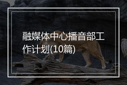 融媒体中心播音部工作计划(10篇)