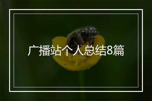 广播站个人总结8篇