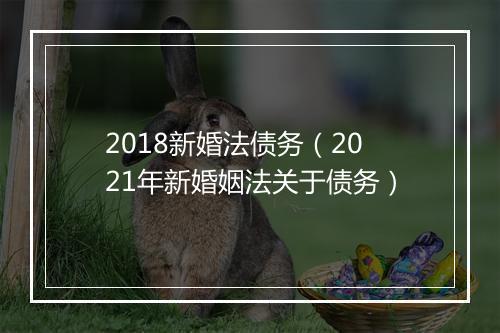 2018新婚法债务（2021年新婚姻法关于债务）
