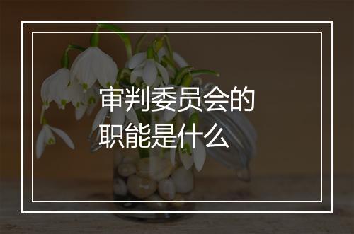 审判委员会的职能是什么