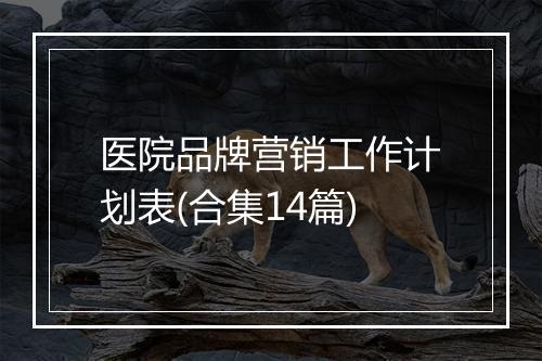 医院品牌营销工作计划表(合集14篇)