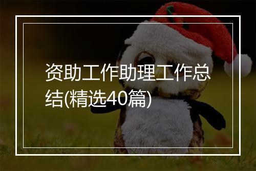 资助工作助理工作总结(精选40篇)
