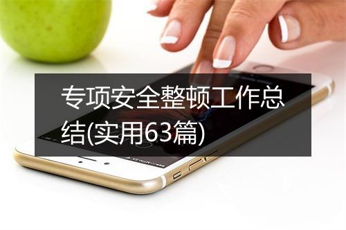 专项安全整顿工作总结(实用63篇)