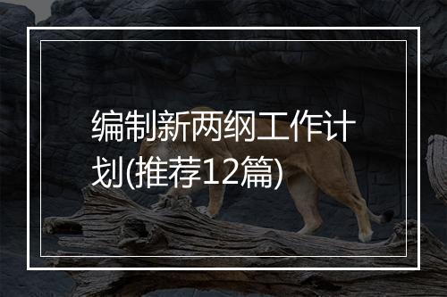 编制新两纲工作计划(推荐12篇)