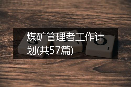 煤矿管理者工作计划(共57篇)