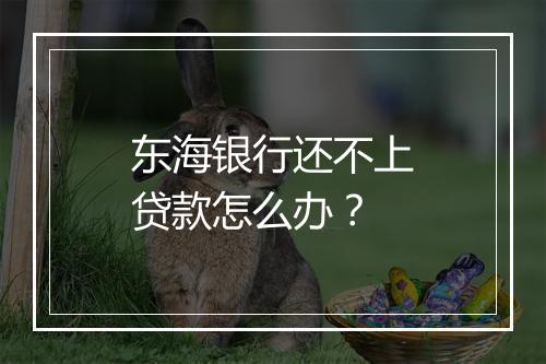 东海银行还不上贷款怎么办？