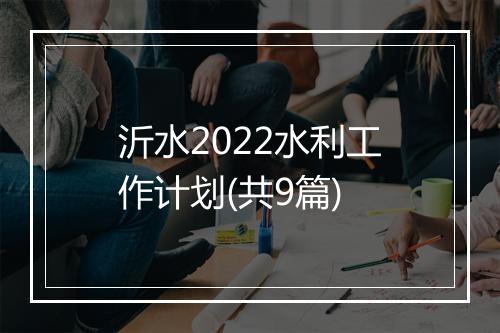 沂水2022水利工作计划(共9篇)
