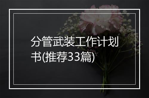 分管武装工作计划书(推荐33篇)