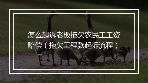 怎么起诉老板拖欠农民工工资赔偿（拖欠工程款起诉流程）