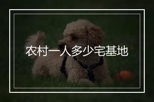 农村一人多少宅基地