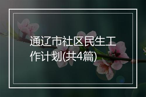通辽市社区民生工作计划(共4篇)
