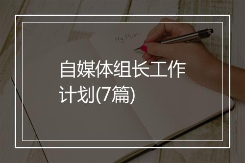 自媒体组长工作计划(7篇)