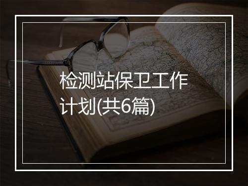检测站保卫工作计划(共6篇)