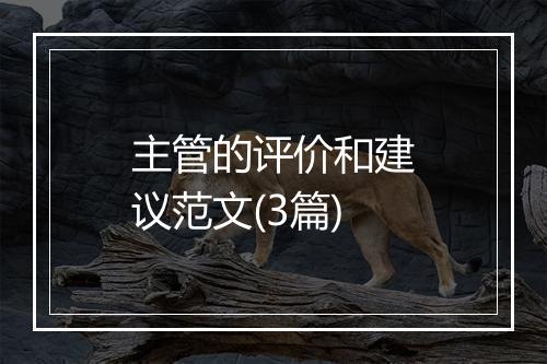 主管的评价和建议范文(3篇)