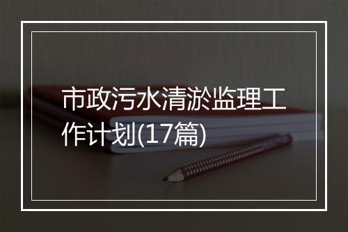 市政污水清淤监理工作计划(17篇)