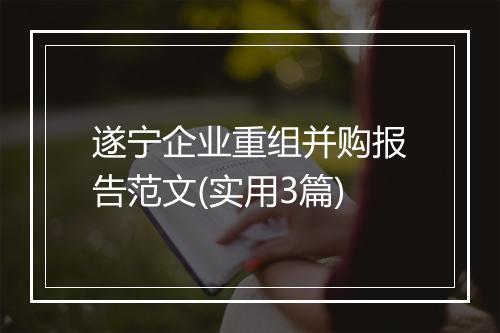 遂宁企业重组并购报告范文(实用3篇)