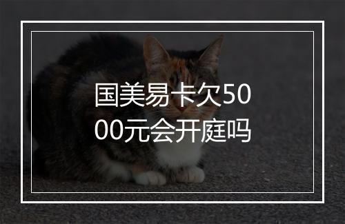 国美易卡欠5000元会开庭吗