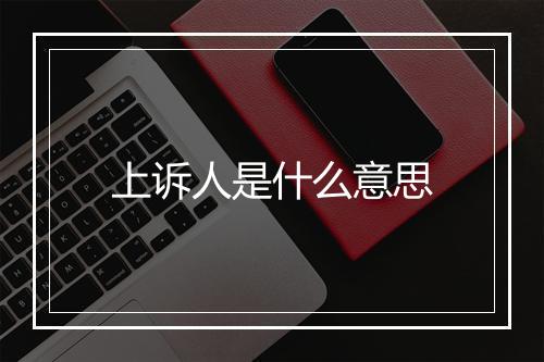 上诉人是什么意思