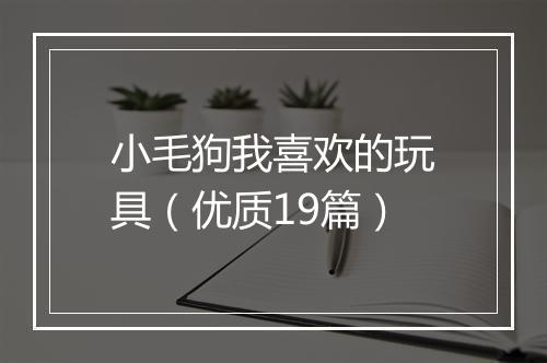 小毛狗我喜欢的玩具（优质19篇）