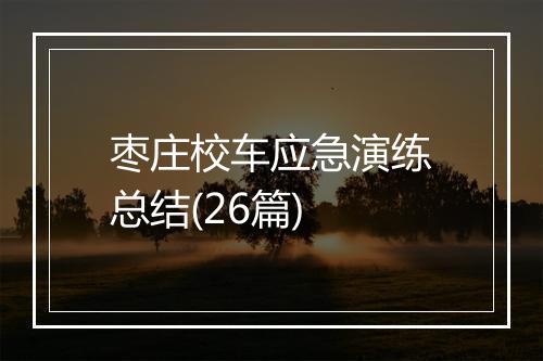枣庄校车应急演练总结(26篇)