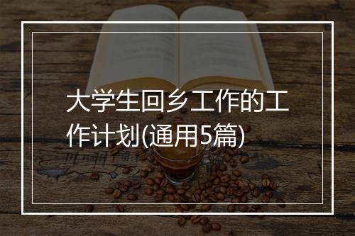 大学生回乡工作的工作计划(通用5篇)